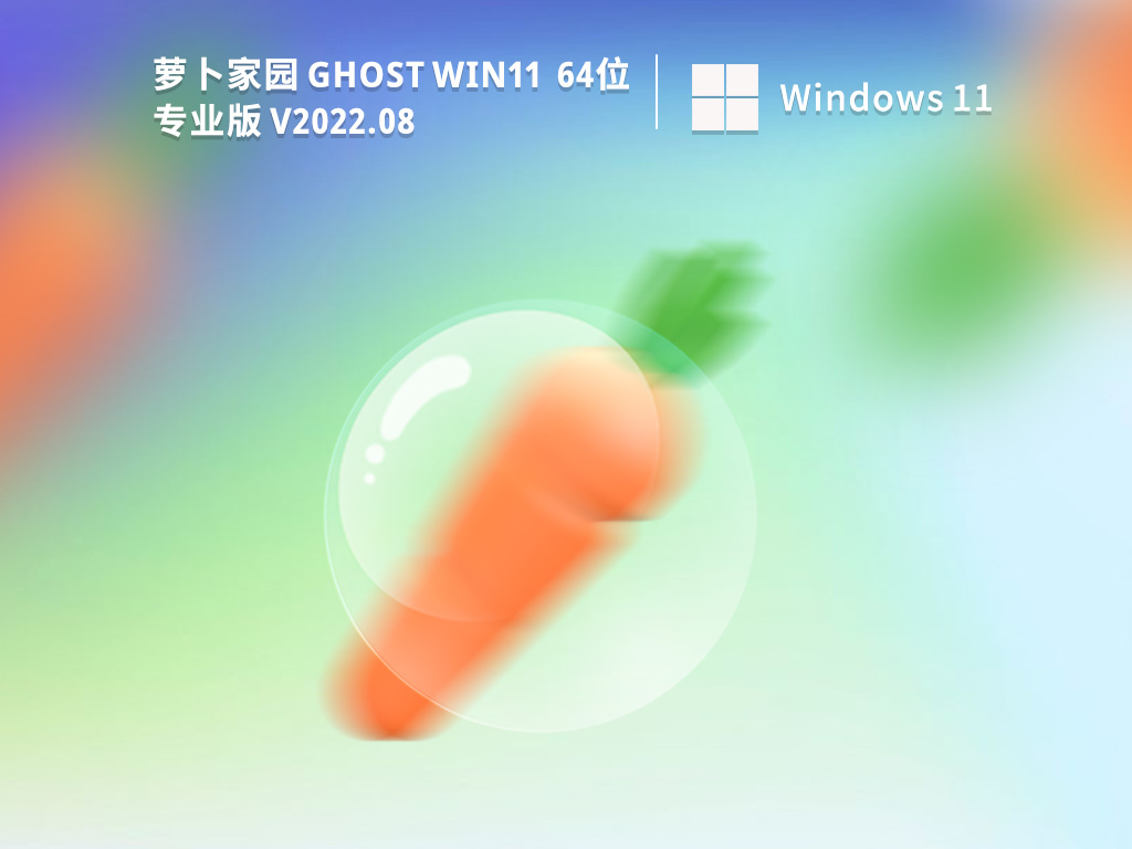 萝卜家园Win11 64位专业版 V2022