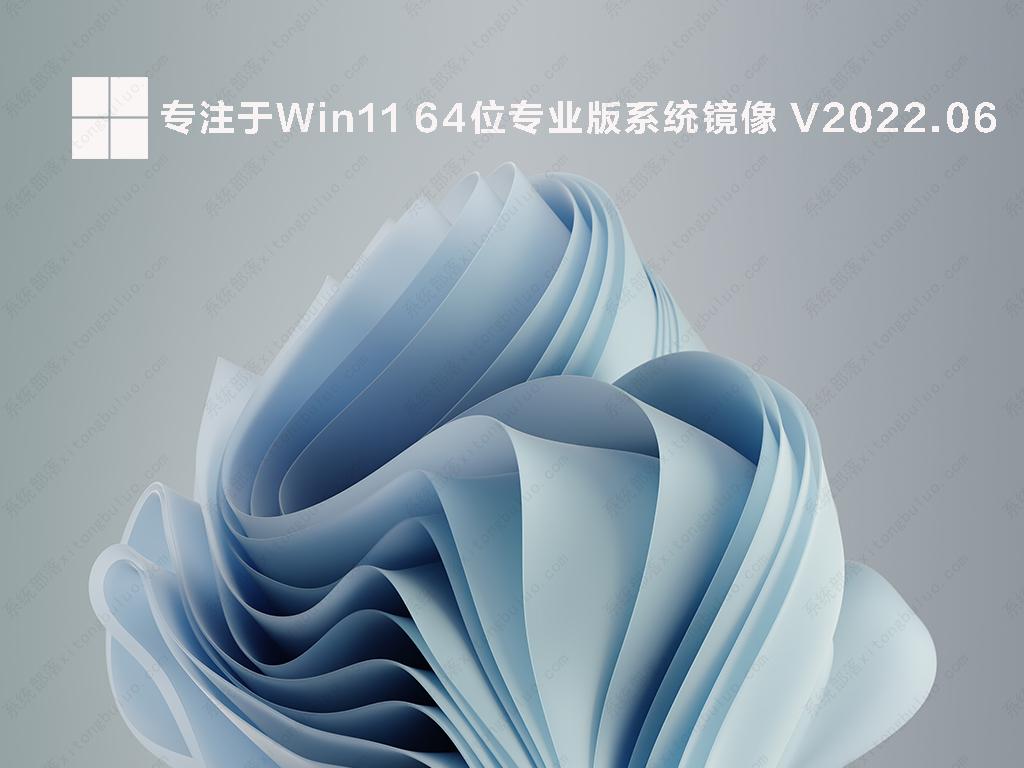 Win11装什么版本号 Win11装哪个版本好一点