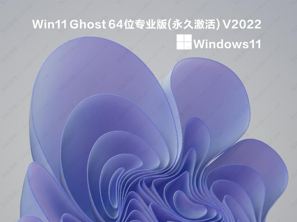 Win11安装哪个版本好？Win11 64位专业版永久激活下载