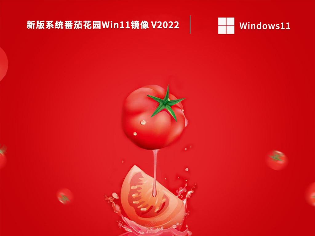 新版系统番茄花园Win11镜像 V2022