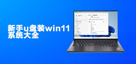 新手u盘装win11系统大全