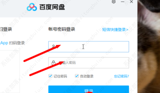百度网盘下载不了文件?百度网盘点击下载没反应怎么回事?