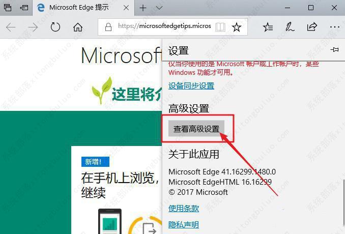 edge浏览器老是提示“接下来做什么”如何解决?