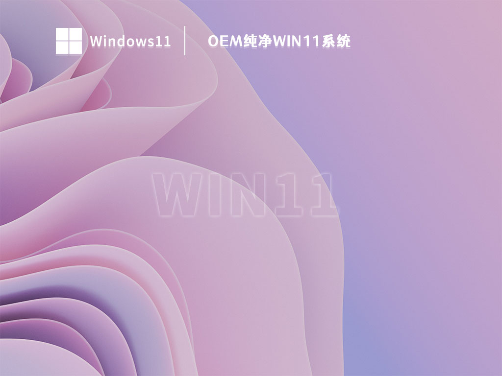 OEM纯净Win11系统 V2023