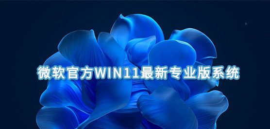 Win11专业版下载 微软官方Win11最新专业版系统