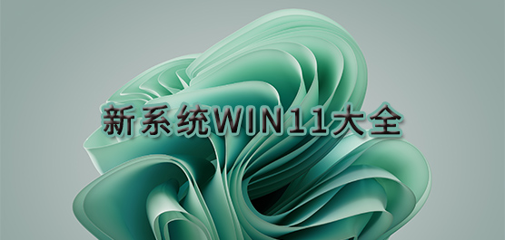 新系统Win11大全