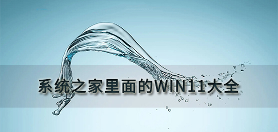 系统之家里面的win11大全