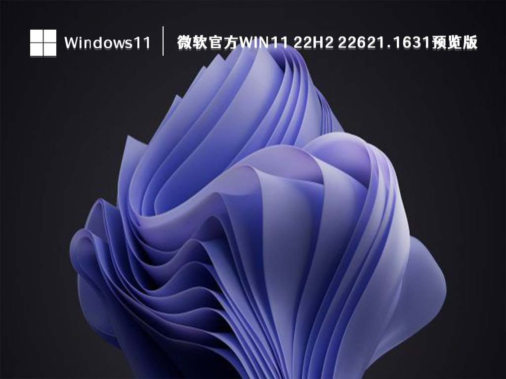 微软官方Win11 22H2 22621.1631预览版 V2023