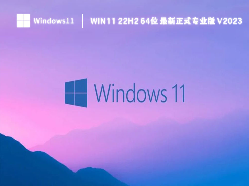 Win11 22H2 64位 最新正式专业版 V2023 